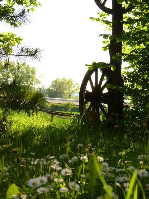 Pension Gruenes Herz Tonndorf Dış mekan fotoğraf